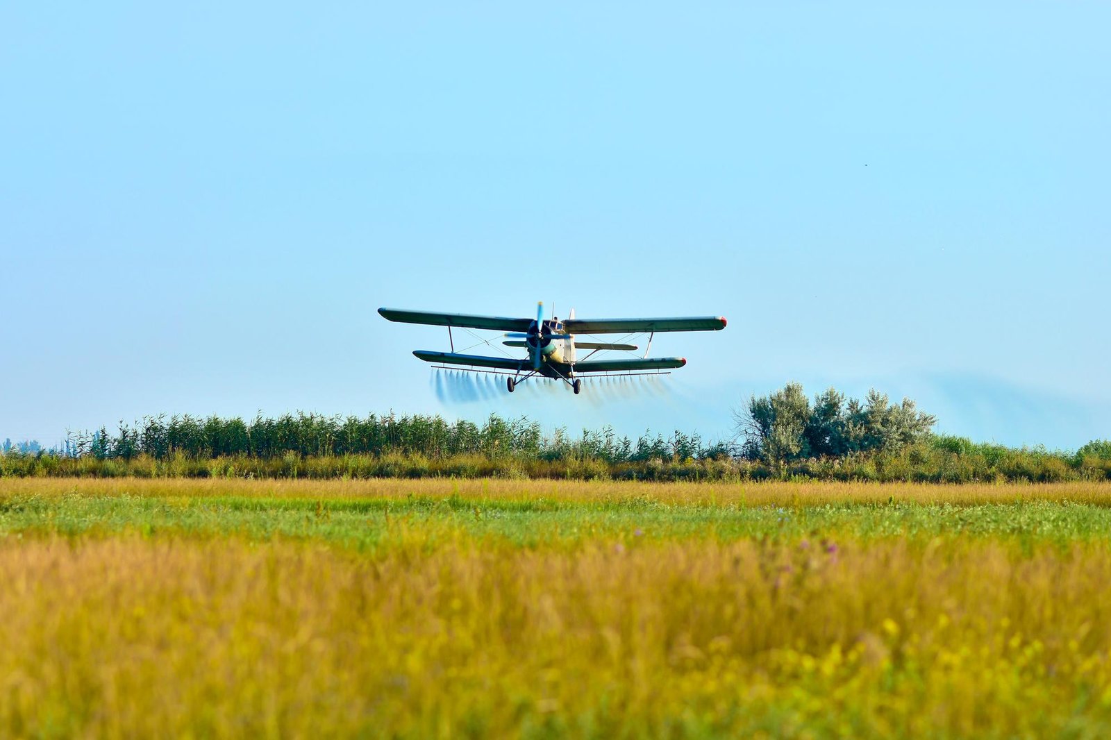 Imagem agrícola com tons verdes e horizonte amplo